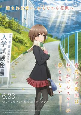 亚洲婷婷综合
