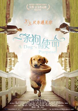 日韩少妇乱码一区二区三区免费