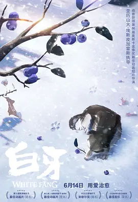国产精品视频免费一区二区三区