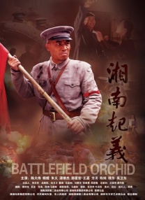 国产mcu精品91