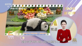 与僧侣之夜动漫全集在线观看